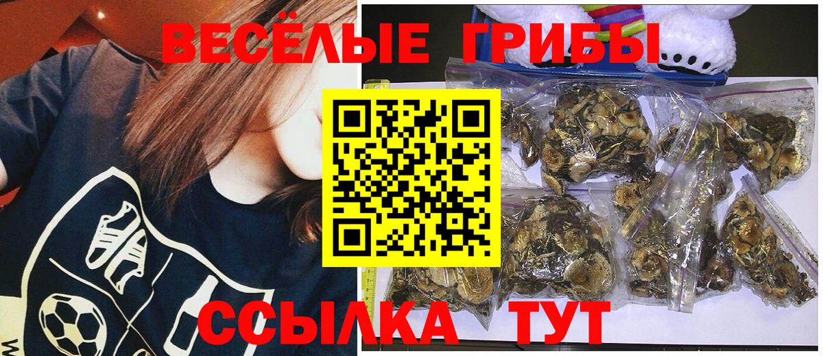 Галлюциногенные грибы мицелий Избербаш