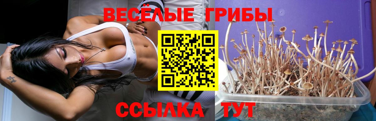 Вейп ТГК  MDMA  Codein  Гашиш  Cocaine  МЕФ кристаллы  Избербаш  Вход с VPN  КОКАИН  МЕТАМФЕТАМИН  Марихуана  ГАШИШ 