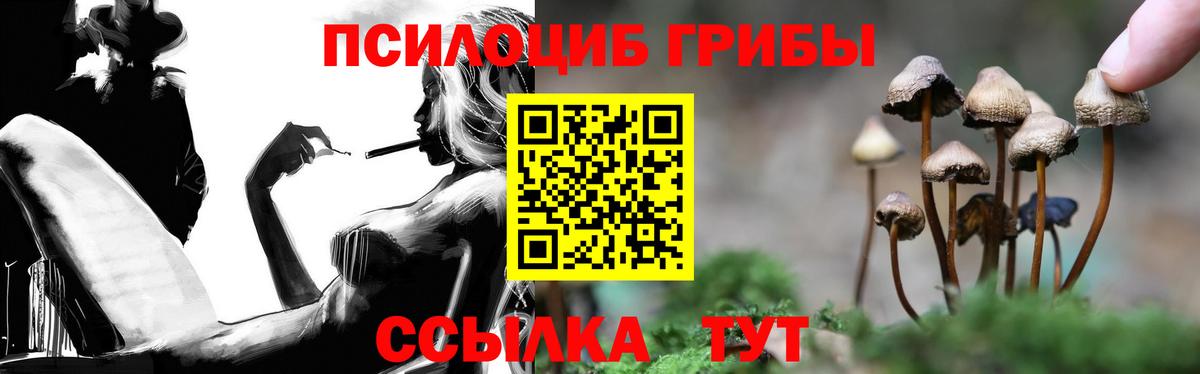 Галлюциногенные грибы мухоморы  даркнет сайт  Избербаш  Вход с VPN 